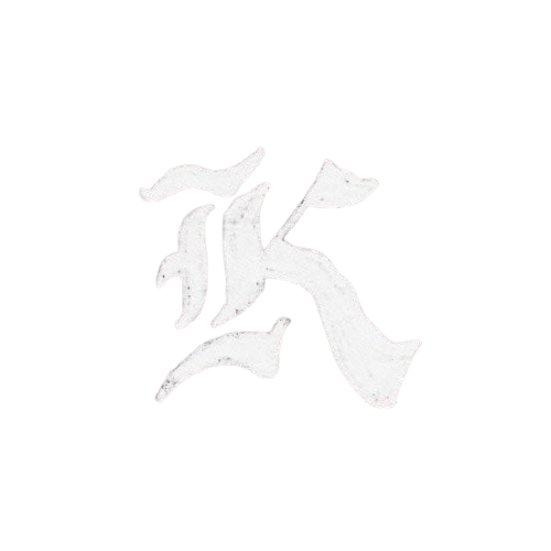 RUIN DESIGN TSHIRT